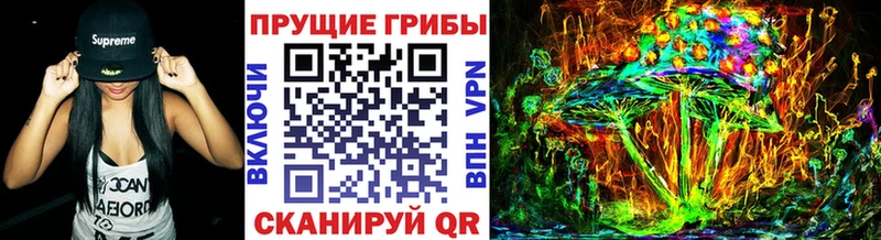 где купить   Симферополь  Псилоцибиновые грибы Psilocybe 
